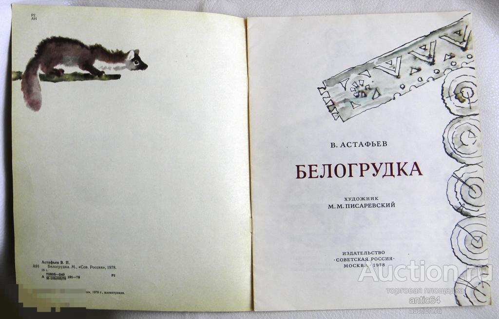 Белогрудка рисунок по рассказу