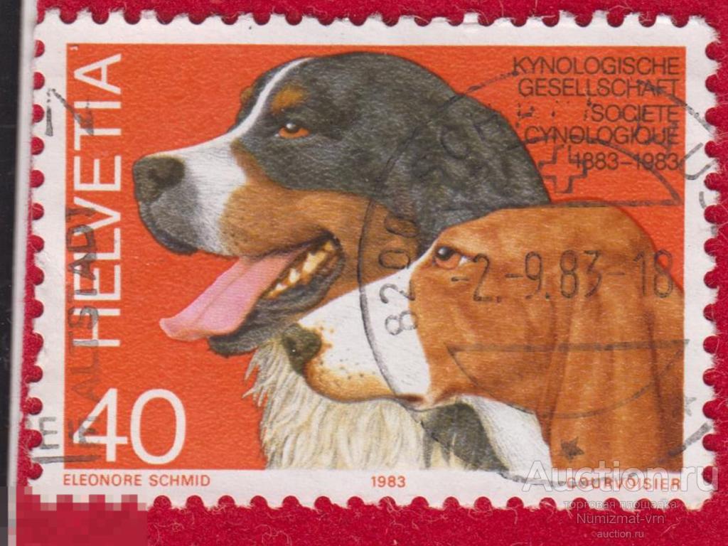 советский цирк с собаками. 2009 фильм собака. марка с зенненхунд. 1970 год какого животного по гороскопу. год собаки фильм 2018 украина.