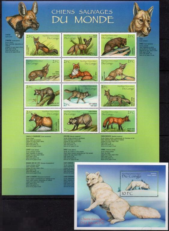 2000 Конго Дикие собаки мира 