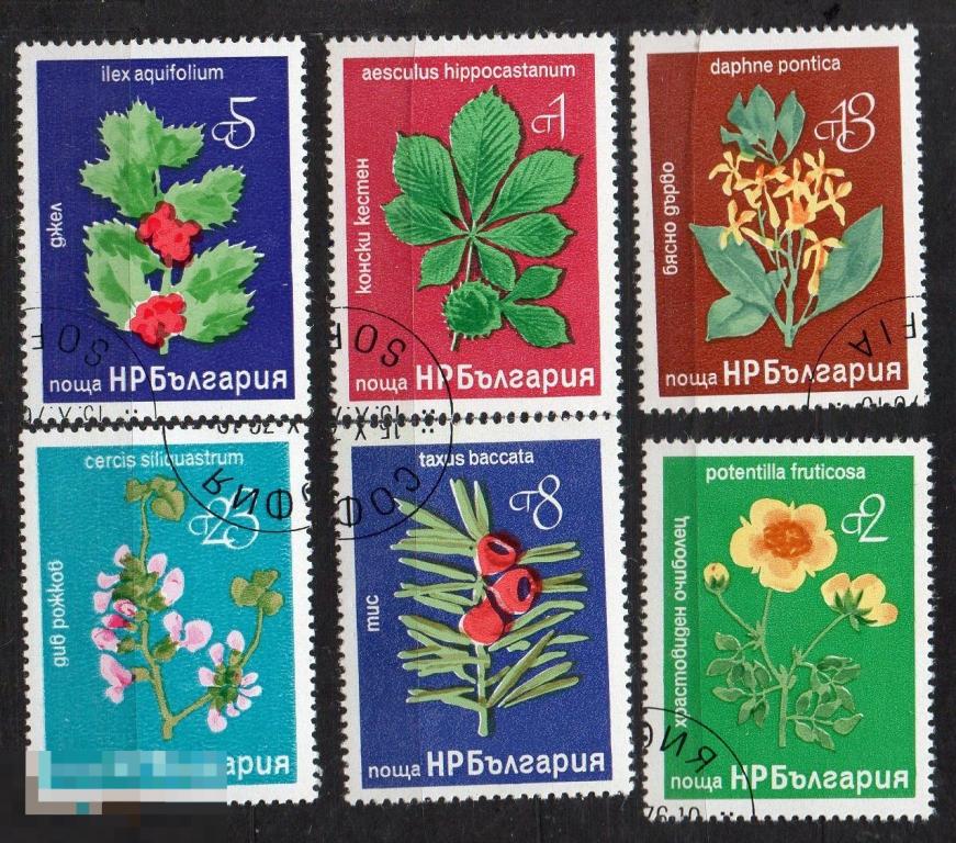 Болгария 1976 цветы флора растения 