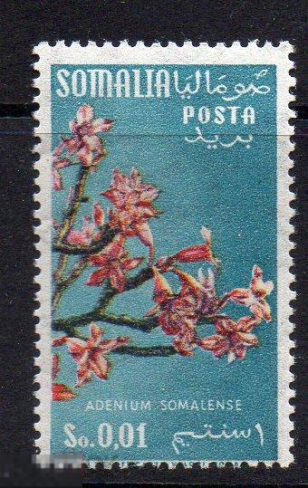 СОМАЛИ Флора цветы 1955 * Адениум 