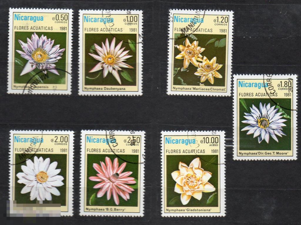Никарагуа 1981 флора цветы растения 