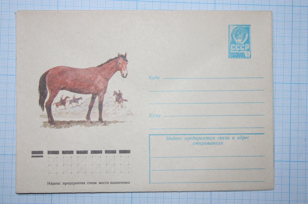 ХМК лошадь новокиргизской породы 1977 (О6)