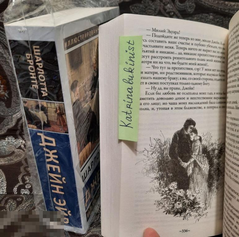 Книга БРОНТЕ, Шарлотта Джейн Эйр Серия Иллюстрированная классика СЗКЭО, 2019 