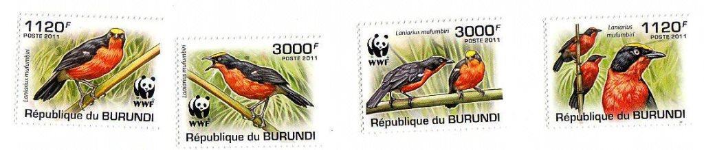 Бурунди WWF - The Papyrus Gonolek bird (bright) 2126b-2129b 9,50 €