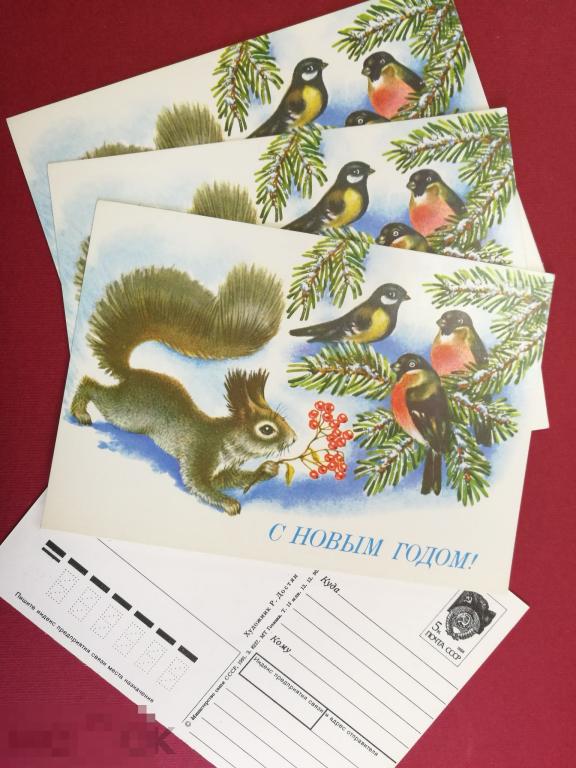 Чистая Открытка Рождество С Новым Годом Белка Снегири Достян Лес Зима Елки СССР! 