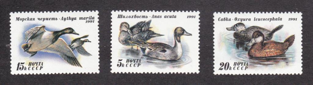 распродажа СССР 1991 Фауна Утки (4423)