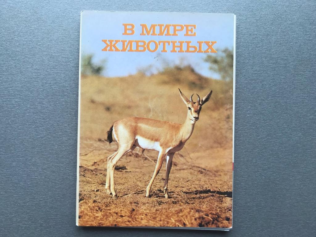 Набор открыток: В мире животных / Красная книга СССР