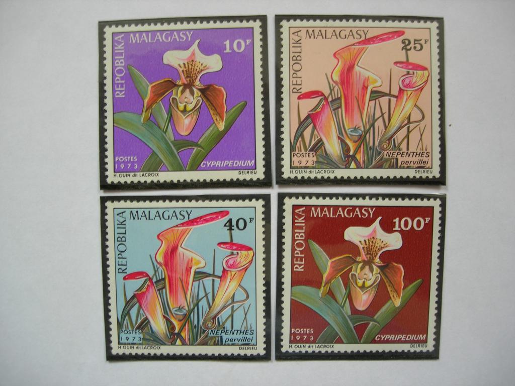 Мадагаскар 1973 флора: цветы   MNH