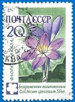 1960 СССР 2495 (Z 2410) Флора СССР. Безвременник. Гаш.