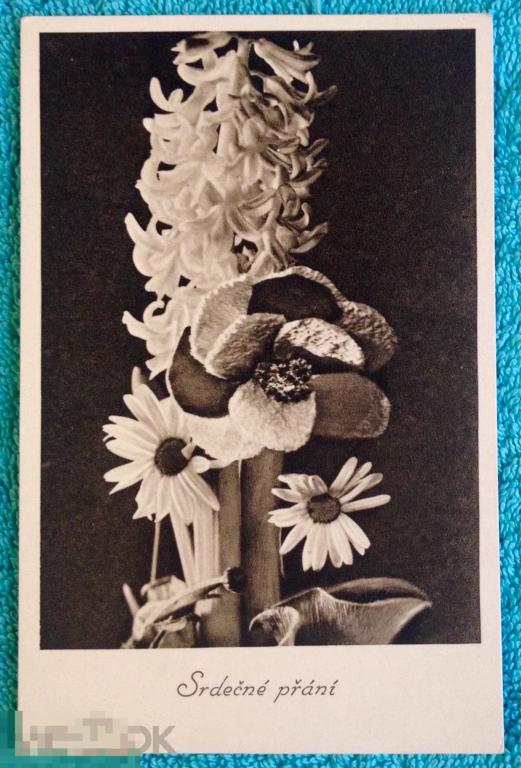 открытка СЕРДЕЧНО ПОЗДРАВЛЯЮ цветы гиацинт ЧИСТАЯ 140 