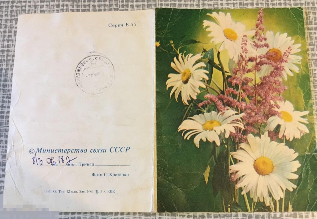 Телеграмма 1982 год Костенко серия Е-56 цветы СССР трт4 