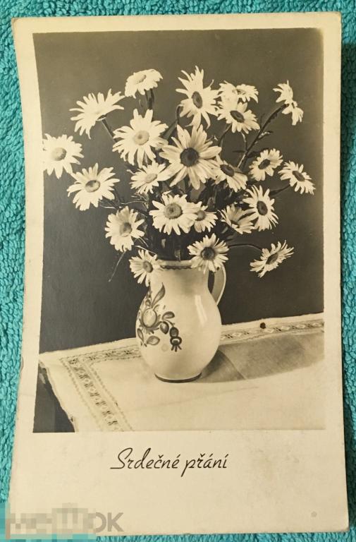 открытка СЕРДЕЧНО ПОЗДРАВЛЯЮ фото РОМАШКИ В ВАЗЕ Чехия 154 