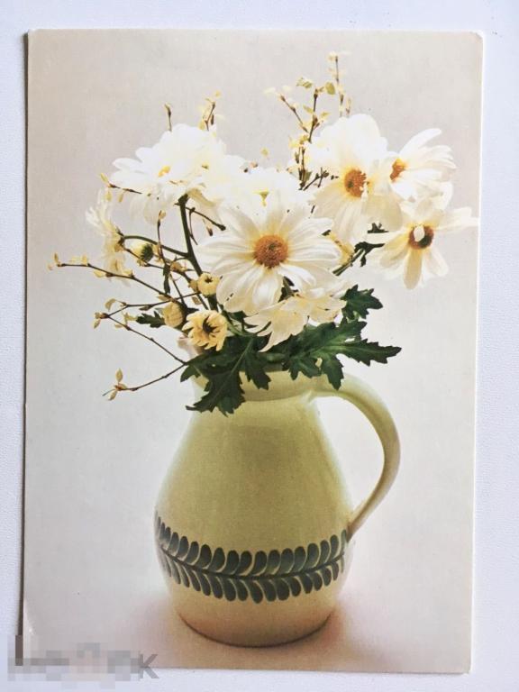 открытка РОМАШКИ В ВАЗЕ Чехия 1980~ые годы ЧИСТАЯ 174 