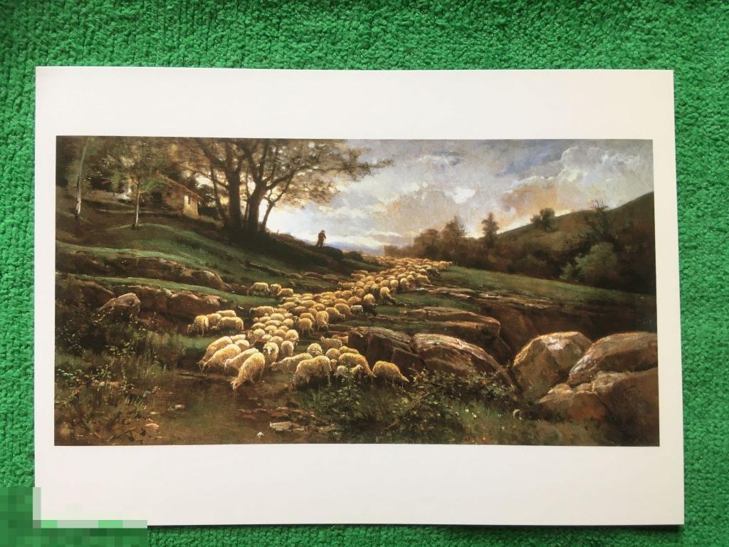 открытка Япония Жоаким Вайреда пастух стадо овец ЧИСТАЯ Ю6 