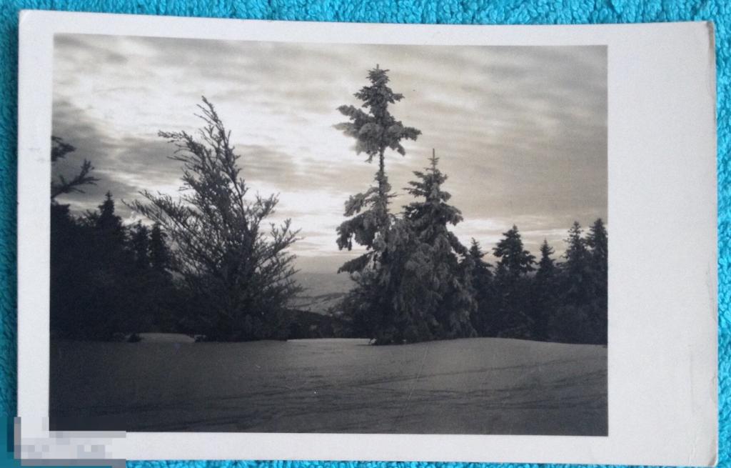 открытка зимний пейзаж горы лес 1949 год 073 