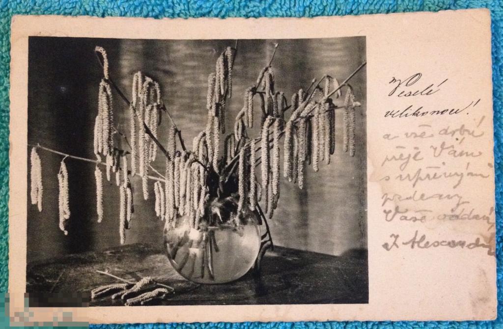 открытка ПАСХА березовые побеги 1934 год 095 