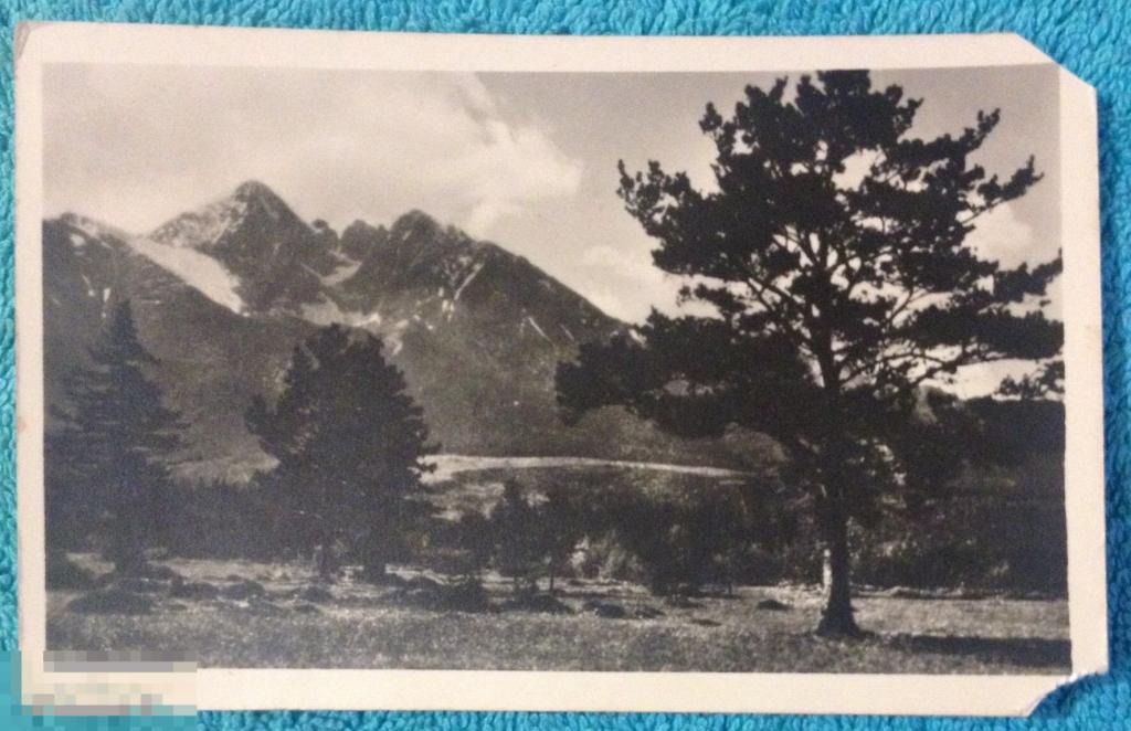 открытка ПРИРОДА ПЕЙЗАЖ 1953 год 102 