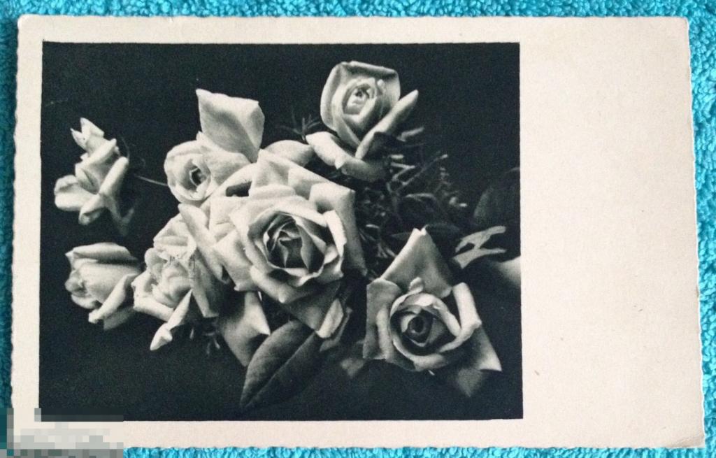 открытка РОЗЫ Чехия 1934 год 133 