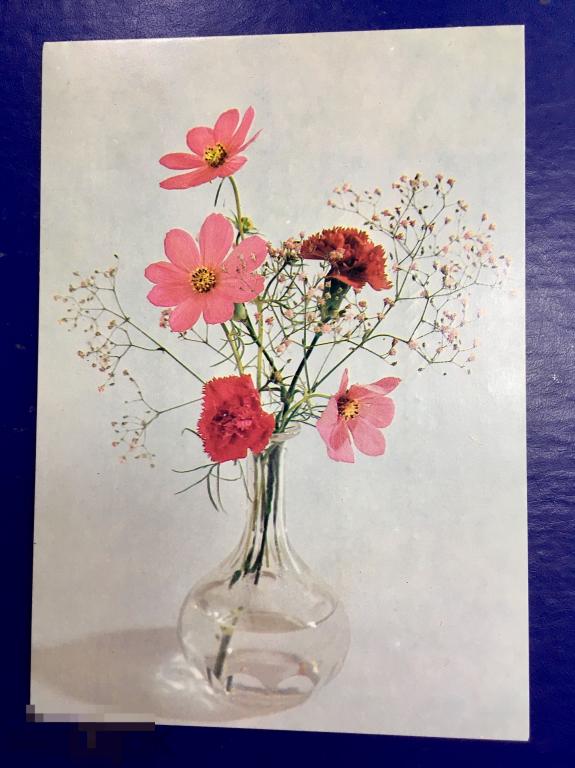 Открытка цветы СЕРДЕЧНО ПОЗДРАВЛЯЕМ Чехословакия подписана Мв39 