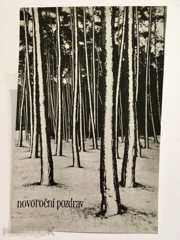 открытка С НОВЫМ ГОДОМ С РОЖДЕСТВОМ зимний лес Чехия 1950-ые годы 176 