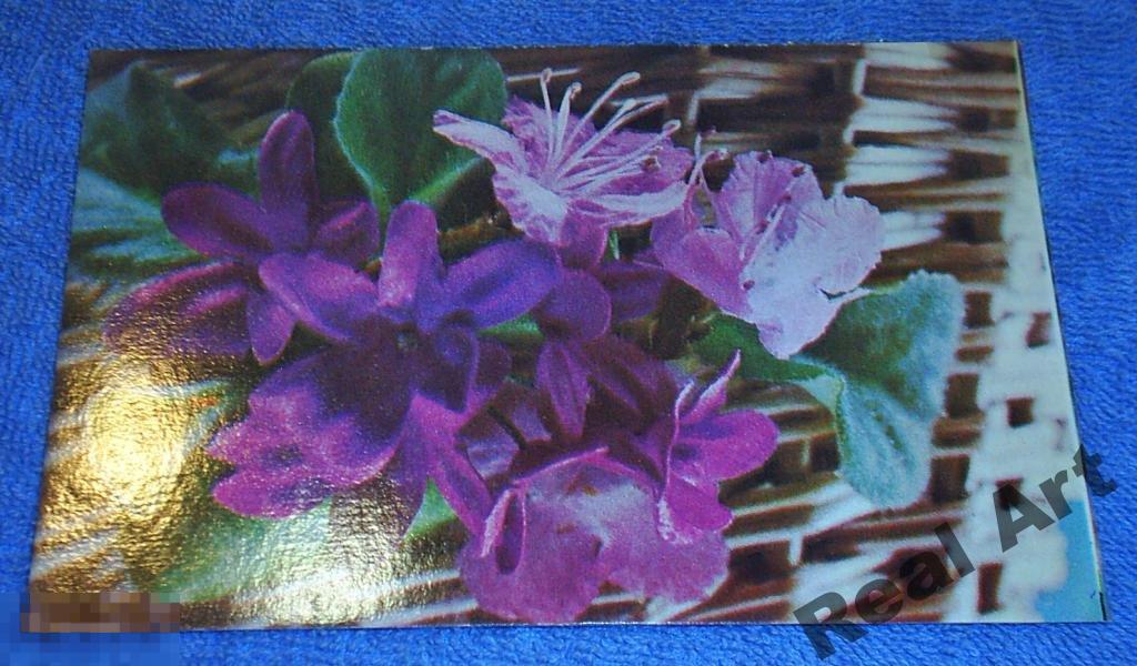 Поздравляем! фото Г. Костенко 1974 г. чистая 