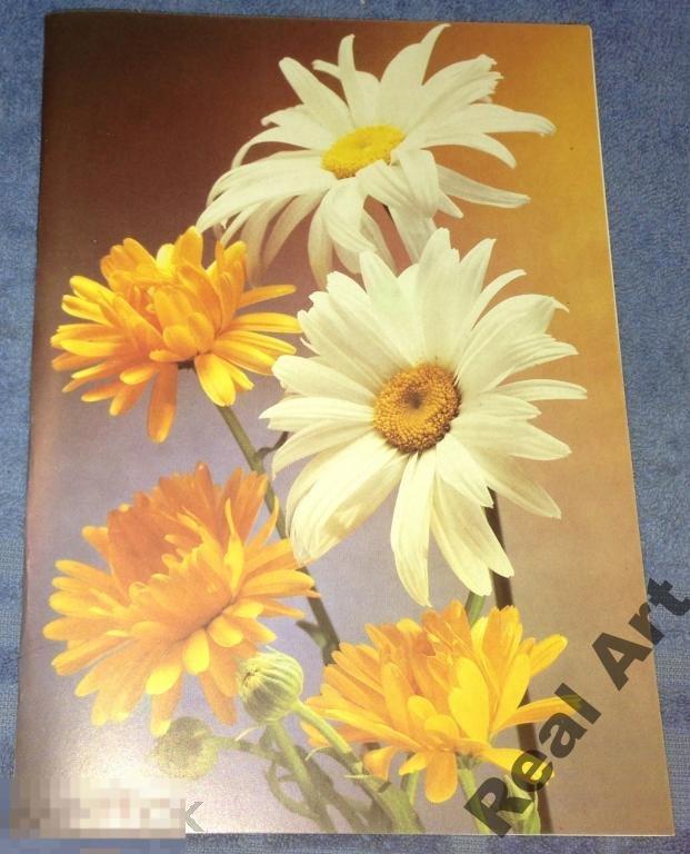 Поздравляем! Стейнерт 1990 двойная чистая большая 