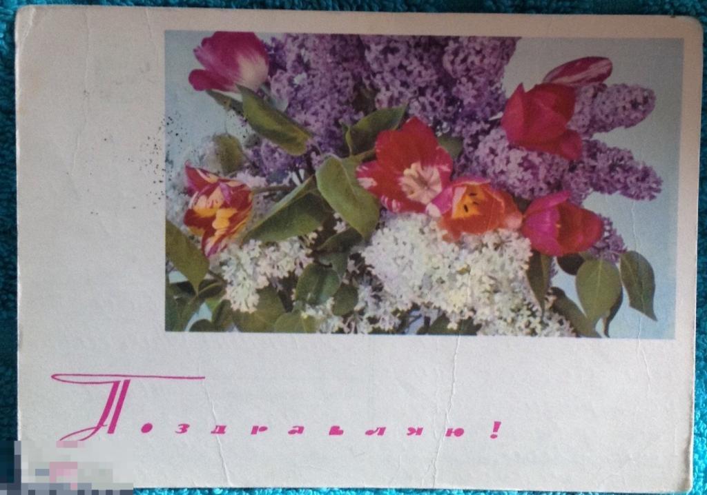 Поздравляю! цветы фото Костенко Чмаров 1967 подписана 