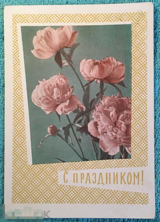 открытка С праздником ! Круглов 1963 г. Цветы подписана МВ10 