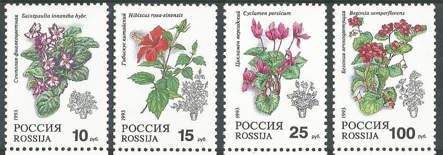 Россия. 1993 г. Флора. Цветы. MNH