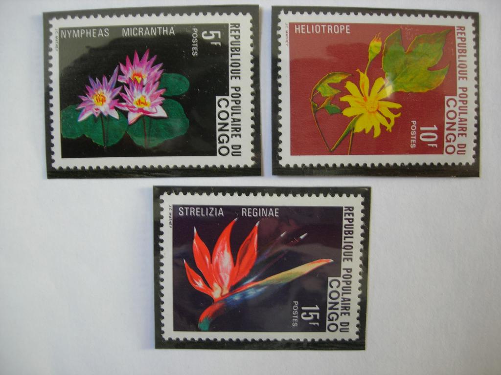 Конго 1976 флора: цветы    MNH