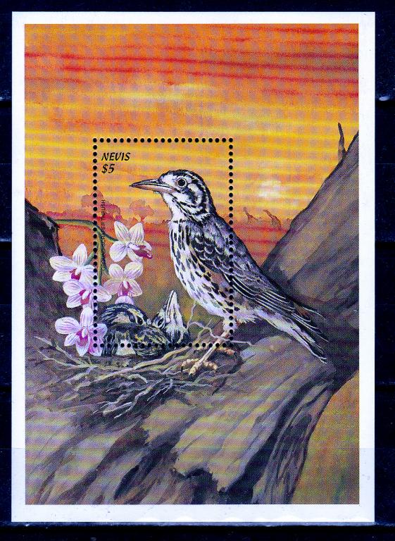 Марки  Невис 1999 г. Банановый певун MNH ** Фауна Птицы