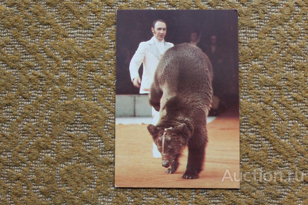 Карманный календарик 1983 Цирк Виталий Пузаков дрессировщик фауна медведь