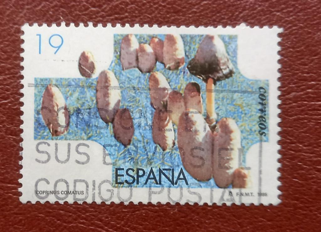 Испания 1995 г. Флора. Грибы. Mi.3199 СТО