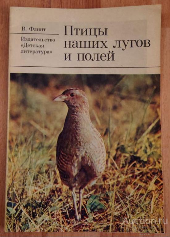 Флинт В.Е. Птицы наших лугов и полей Издательство: М.: Детская литература 1978