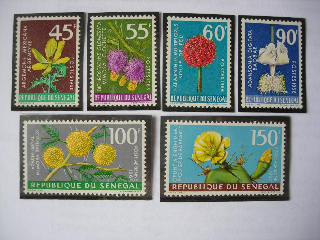 Сенегал 1966/1967 флора: цветы    MNH