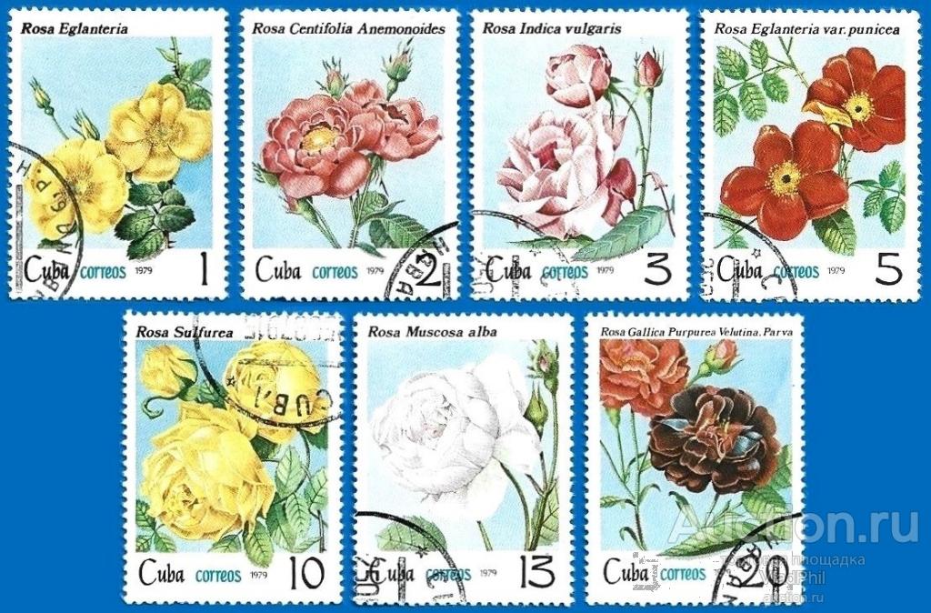 Куба 1979 MiNr 2419-25. Розы. (1.5 € / 1.75 $) CTO.