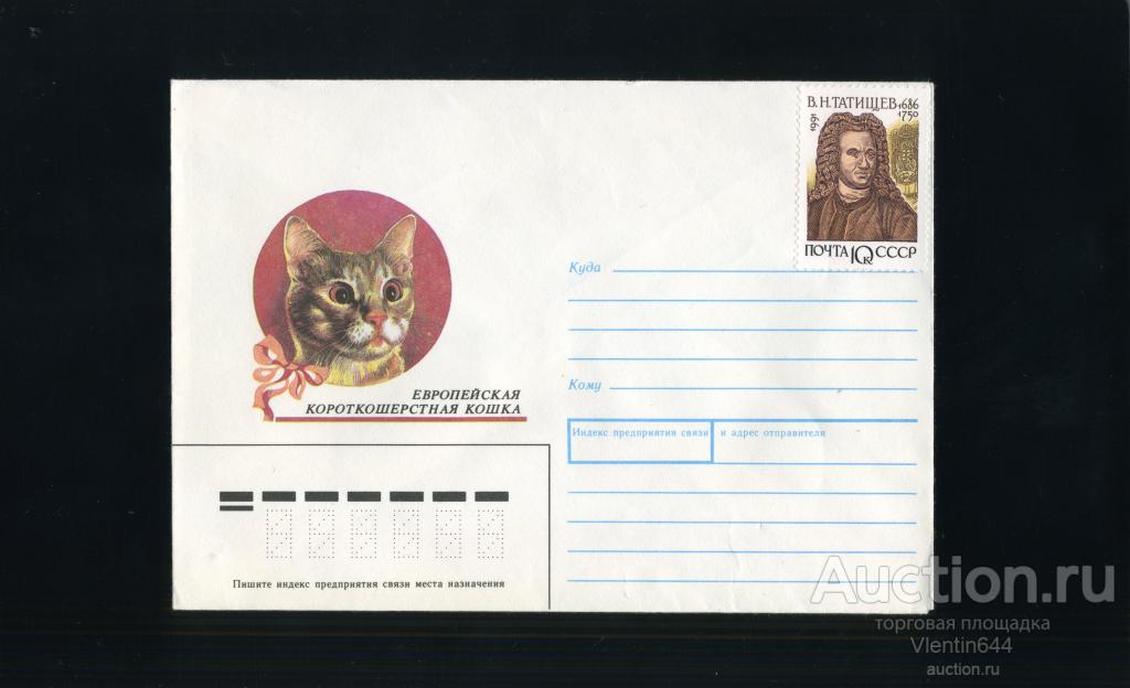 Конверт СССР 1991 г. Художник Усова. Европейская короткошерстная кошка. С маркой Тимирязев