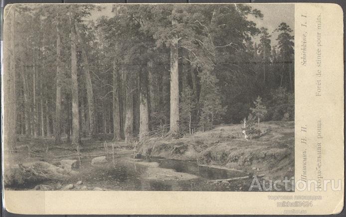 К0749 ✅ Искусство Живопись Картины Шишкин 1910-е Императорская Россия Открытка чистая