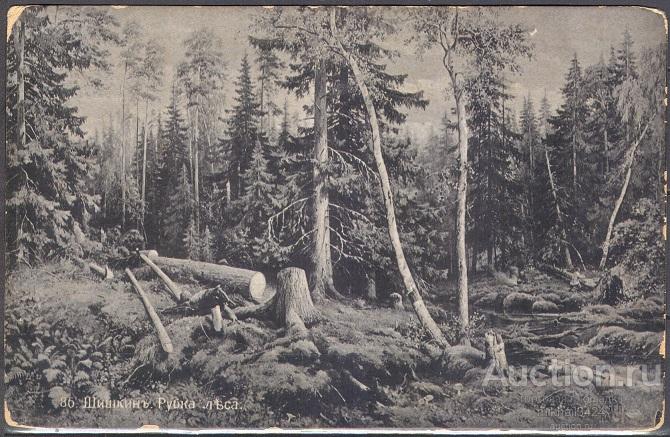 К0768 ✅ Искусство Живопись Картины Шишкин 1910-е Императорская Россия Открытка чистая