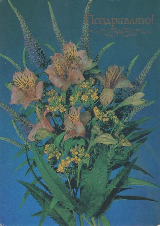 Открытка (Поздравляю) (СССР) (1989) (фото И. Дергилева)