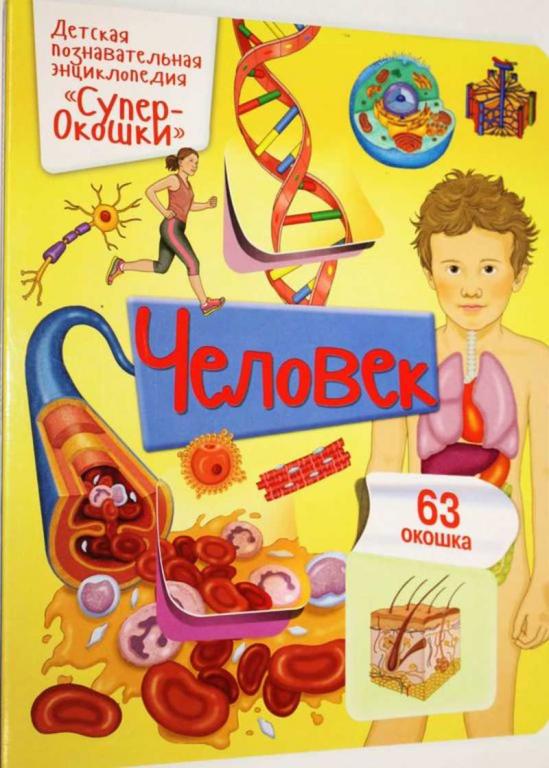 #1556466 Элеонора Барсотти Человек Детская познавательная энциклопедия. Супер-Окошки.