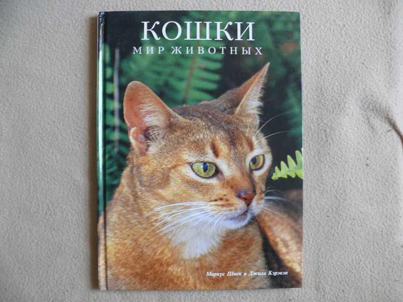 #1536092 Шнек М., Кэрэвэн Д. Кошки. Мир животных Пер. с англ.