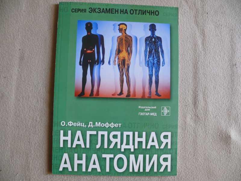 #1536587 Фейц О., Моффет Д. Наглядная анатомия Серия Экзамен на отлично