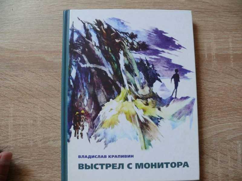 #1541289 Крапивин Владислав Выстрел с монитора