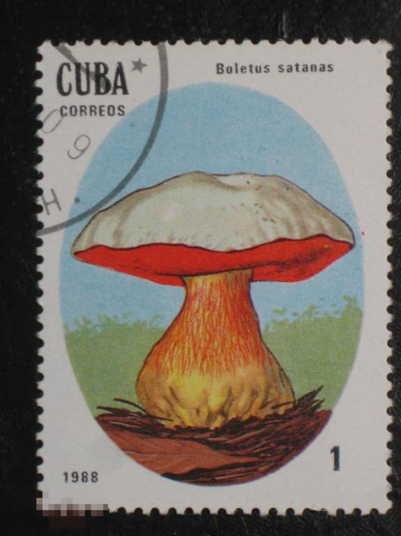 Куба 1988 Грибы марка 1 из серии 