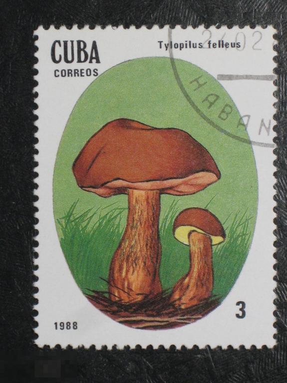 Куба 1988 Грибы марка 3 из серии 