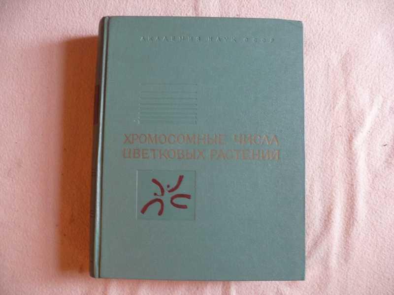 #1539083 Матвеева Т. С. Хромосомные числа цветковых растений