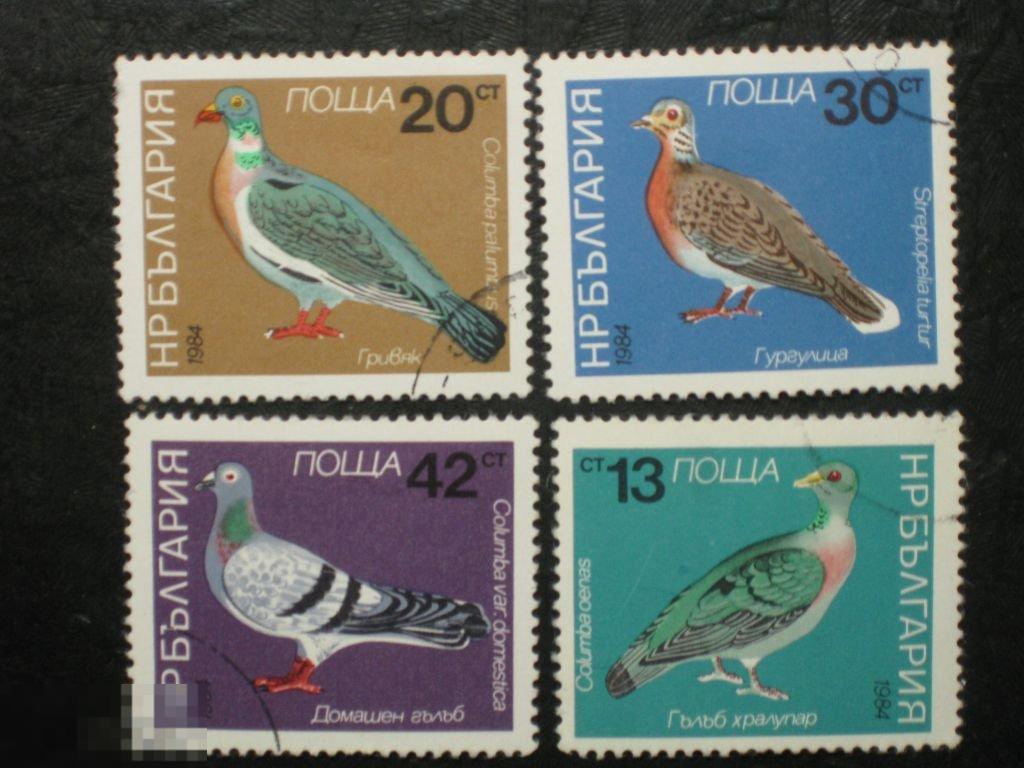 Болгария 1984 Фауна Птицы Голуби 4 марки из серии клей 