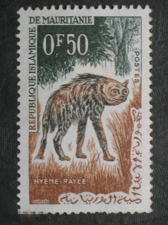 Мавритания 1963 Гиена марка 0.50 из серии (д) 